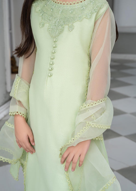 Shop Mint Green Embellished Raw Silk Organza Suit Online in Dubai DXB UAE Abudhabi Meena Bazaar