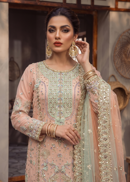 Shop Peach Organza Embroidered Kurta Online in Dubai DXB UAE Abudhabi Meena Bazaar