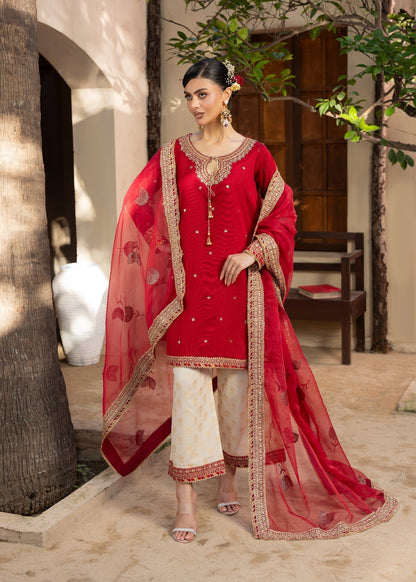 Shop Red Raw Silk Pakistani Suit with Dupatta Online in Dubai DXB UAE Abudhabi Meena Bazaar