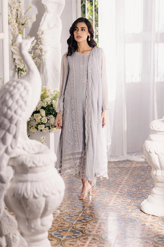 Silver Embroidered Chiffon Suit