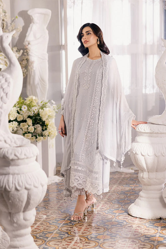 Silver Embroidered Chiffon Suit