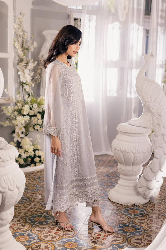 Silver Embroidered Chiffon Suit
