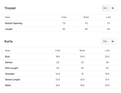 Burgundy Embellished Organza Gharara