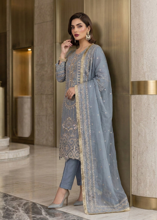Straight Kurta Embroidered Organza Suit Online in Sri Lanka India Australia