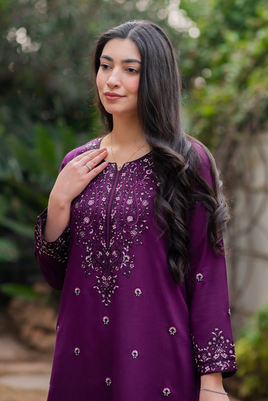 Embroidered Kurta with Trousers