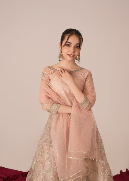 Tea Pink Embroidered Net Lehenga Choli Online in Sri Lanka India Australia