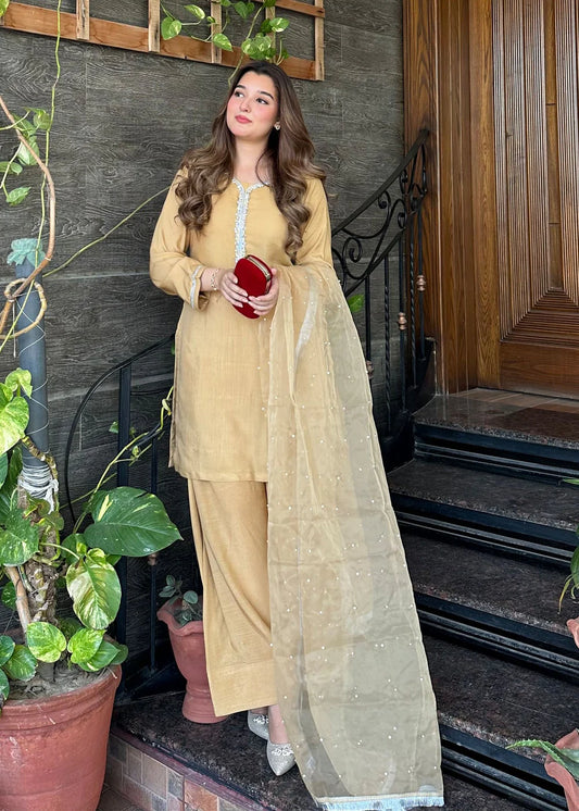 Gold Embellished Farshi Shalwar Suit