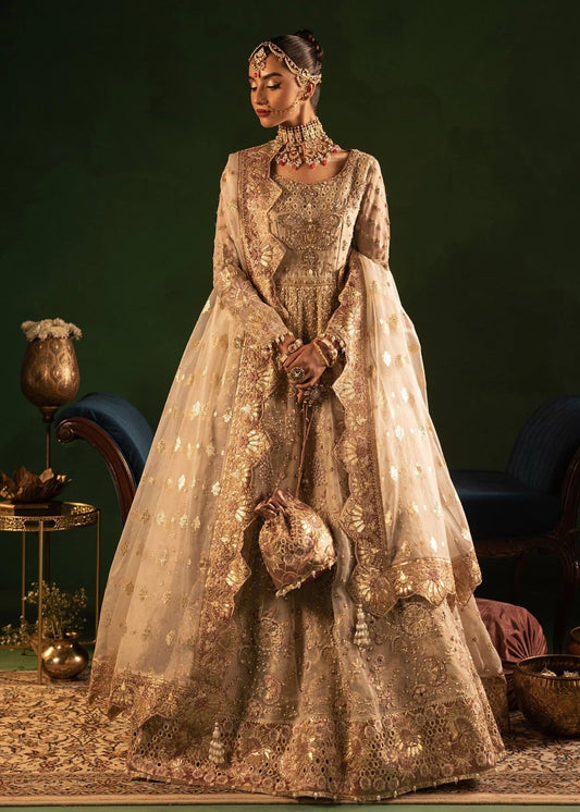 Wedding Guest Wear Beige Organza Suit Online in Dubai DXB UAE Abudhabi Meena Bazaar