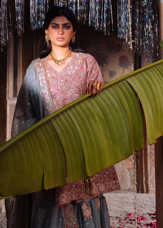 Wedding Guest Wear Rose Pink Charmuse Suit Online in Sri Lanka India Australia