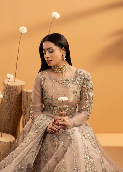 Wedding Guest Wear Rose Pink Organza Maxi Suit Online in Sri Lanka India Australia