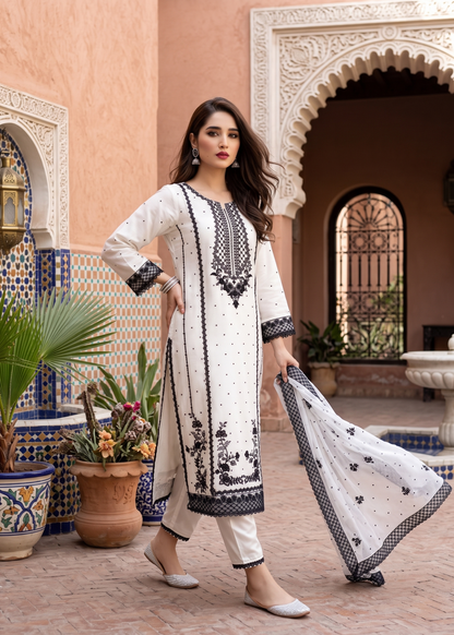 White Chiffon Embroidered Straight Kurta Suit Online in Sri Lanka India Australia
