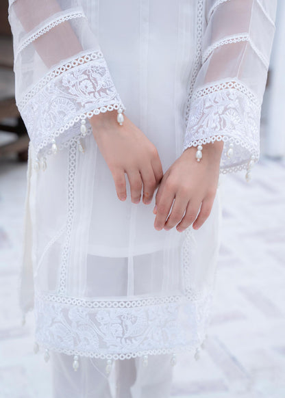 White Organza Embroidered Kurta Suit Online in Sri Lanka India Australia