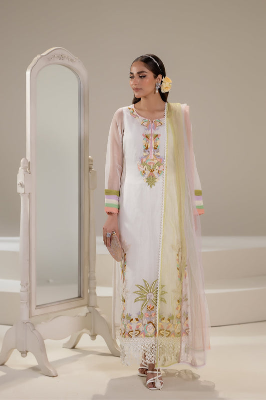 White Pure Organza Hand Embroidered Suit