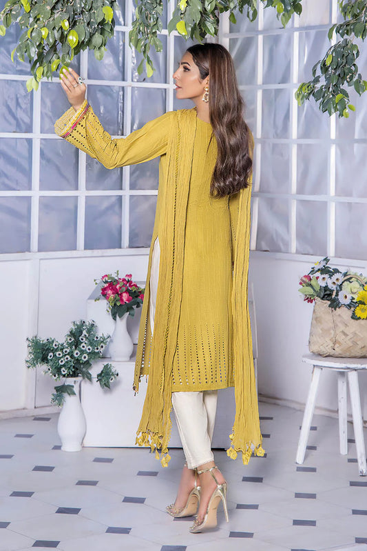 Hand Embroidered Pure Cotton Chikankari Suit