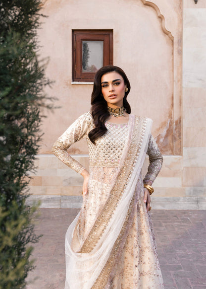 Zari Embroidered Net Pishwas Suit Online in Dubai DXB UAE Abudhabi Meena Bazaar