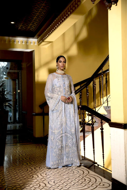 Baby Blue Embroidered Chiffon Suit