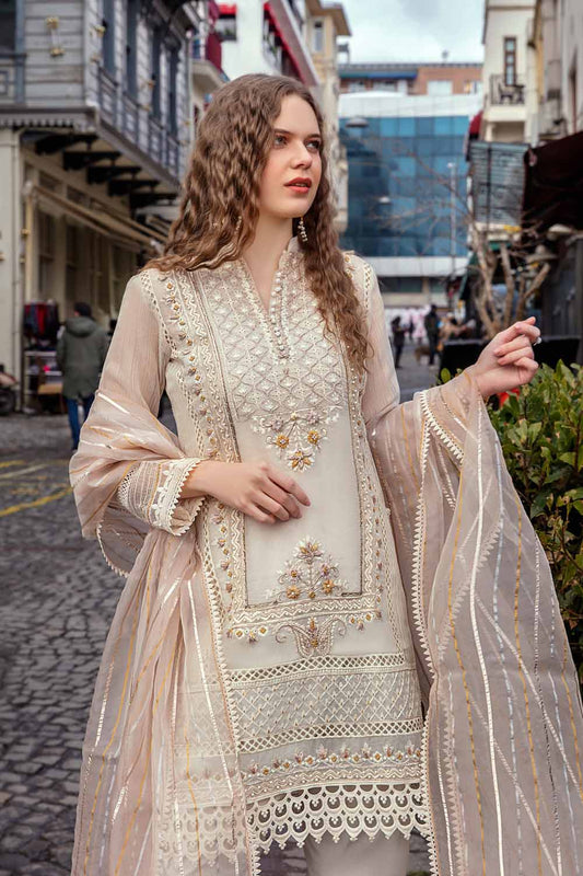 Readymade Chikankari Organza Pret