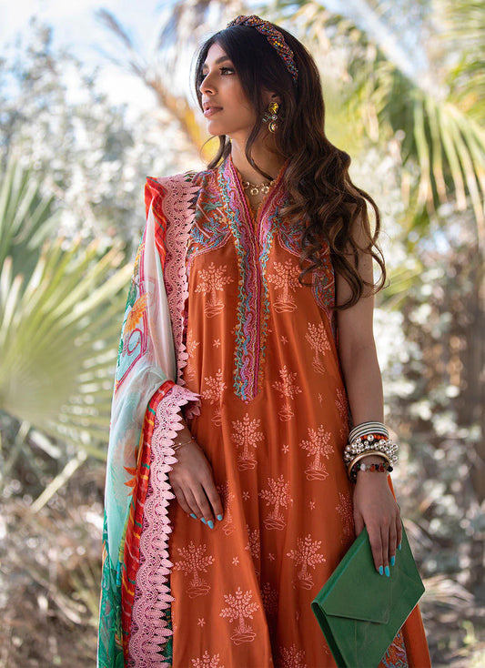 burnt orange salwar kameez