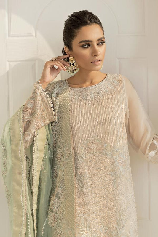 Skin Beige Embroidered Chiffon Suit