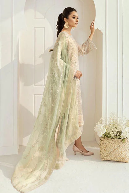 Skin Beige Embroidered Chiffon Suit