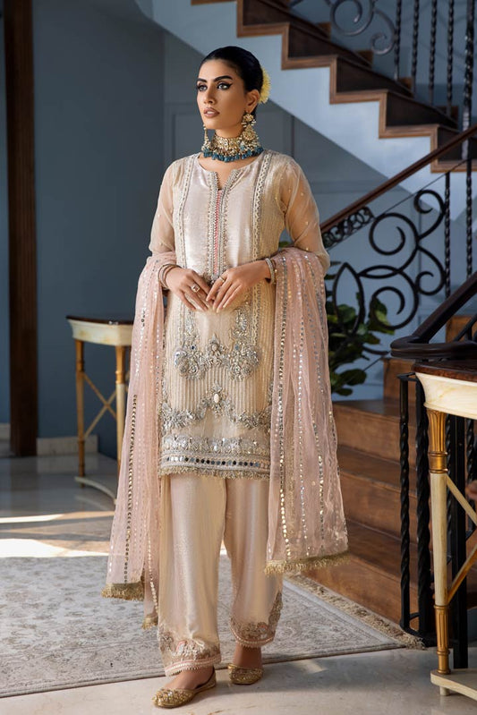 Hand Embroidered Pure Chiffon & Velvet Gharara