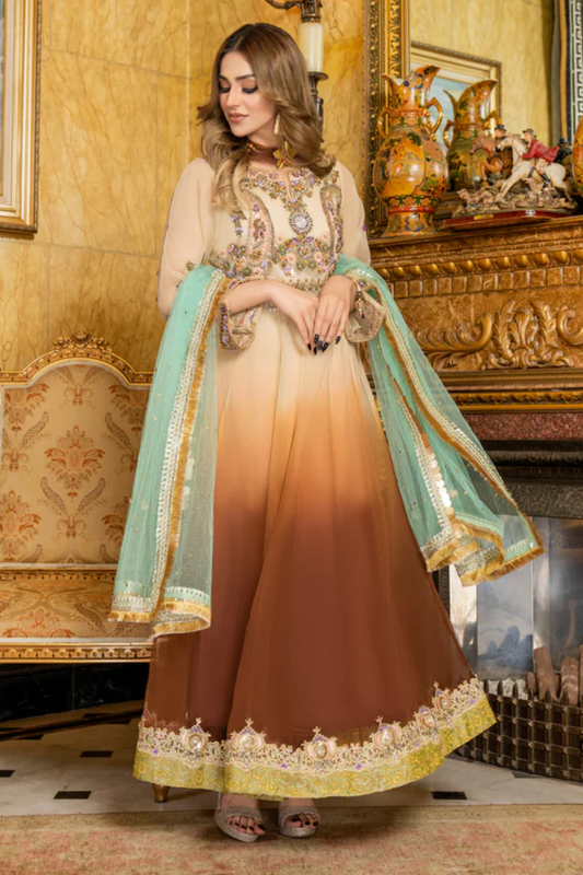 Readymade Pure Organza Anarkali