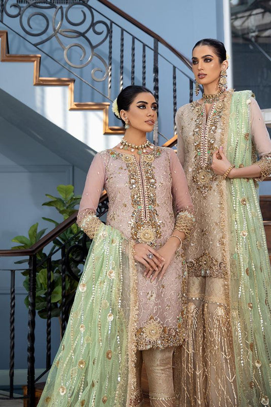 Hand Embroidered Pure Organza Suit