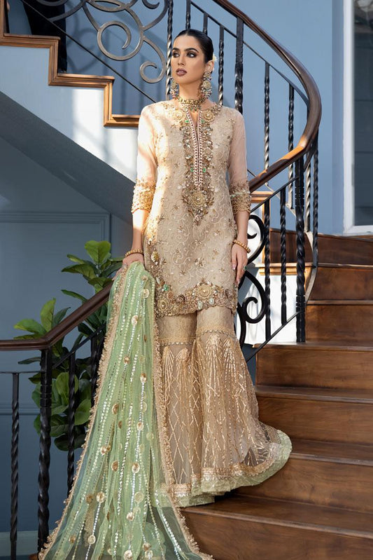 Hand Embroidered Pure Organza Suit