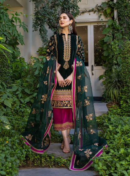 velvet salwar kameez pakistani in dubai