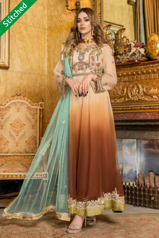 Pakistani suit dress best sale